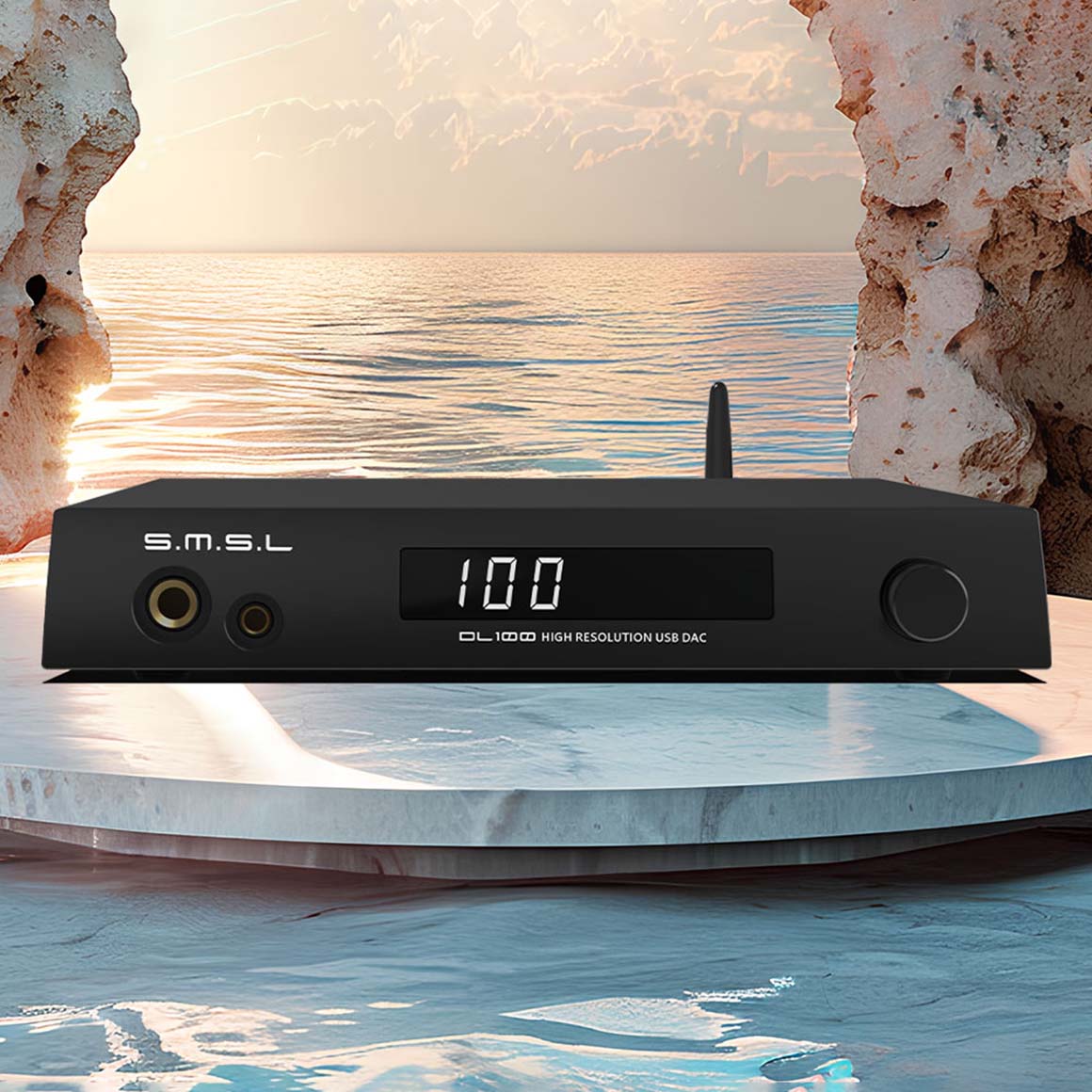 S.M.S.L - DL100