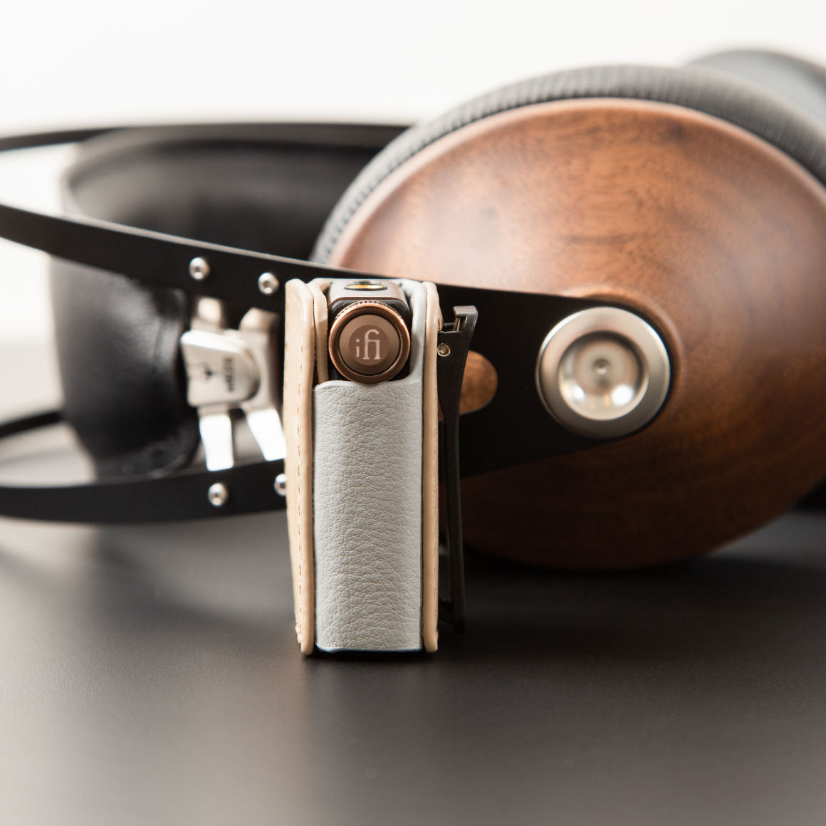 Headphone-Zone-iFi-Audio-Go-blu-case