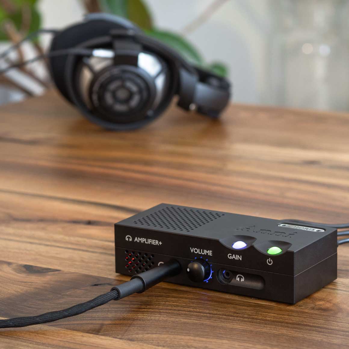 Headphone-Zone-Chord-Anni
